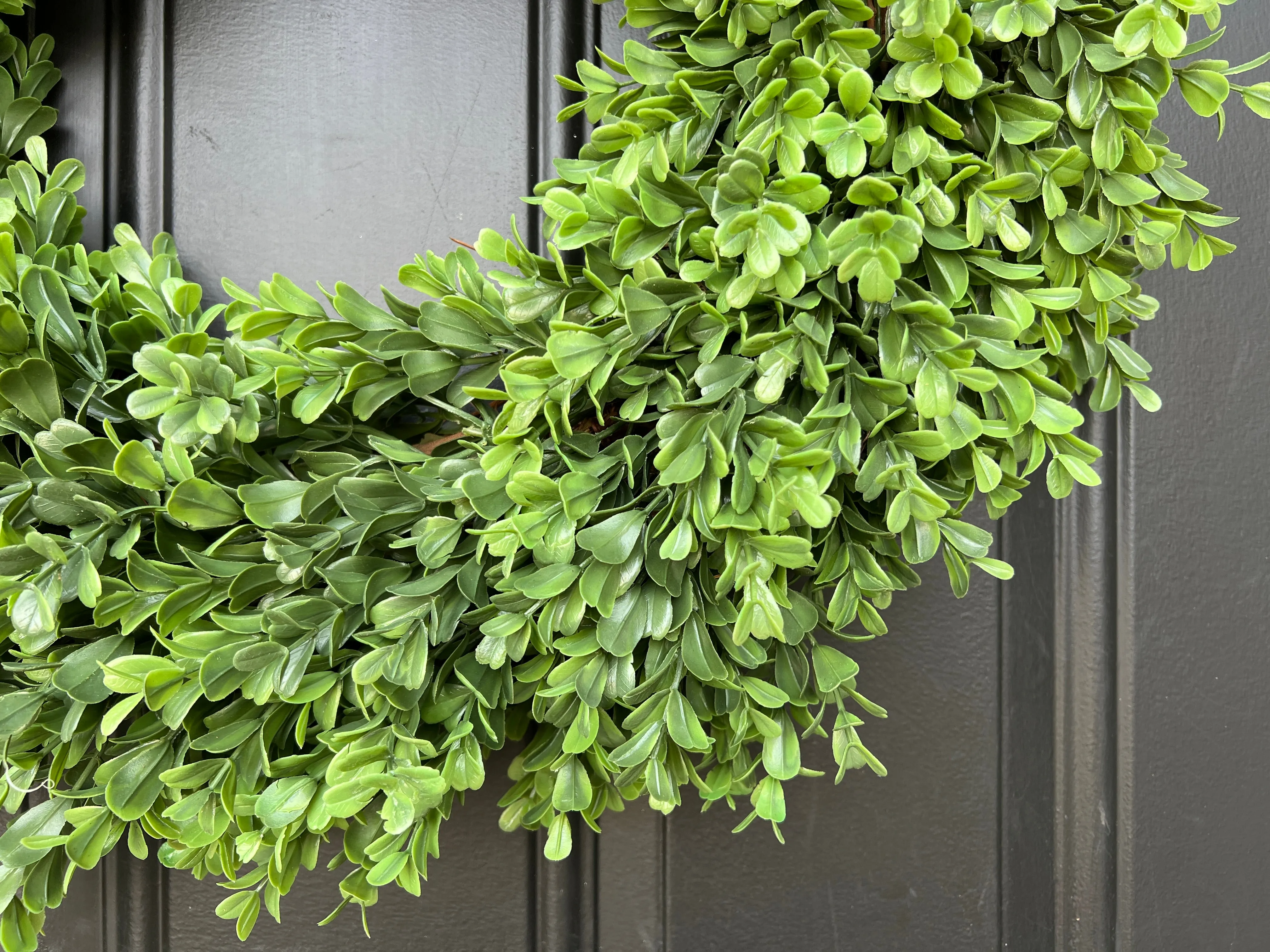 Classic Boxwood Wreath