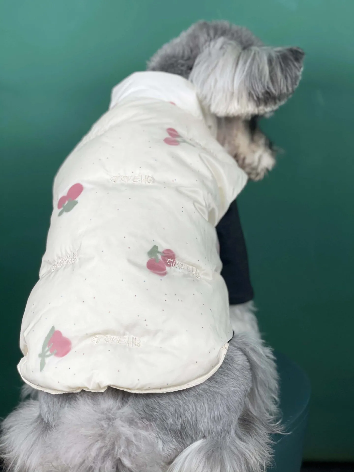 Fashion Dog Clothes Autumn And Winter Warm Cherry Vest