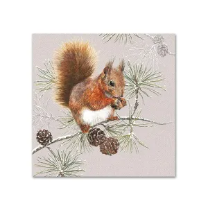 Squirrel In Winter Paper Napkins - Beverage