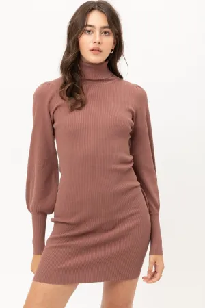 Turtle Neck Sweater Dress